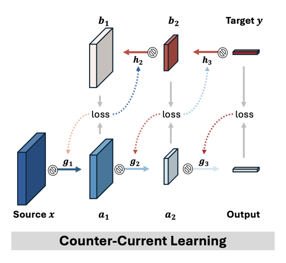 Counter-Current Learning: A Biologically Plausible Dual Network Approach for Deep Learning